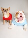notfriendly2pack
