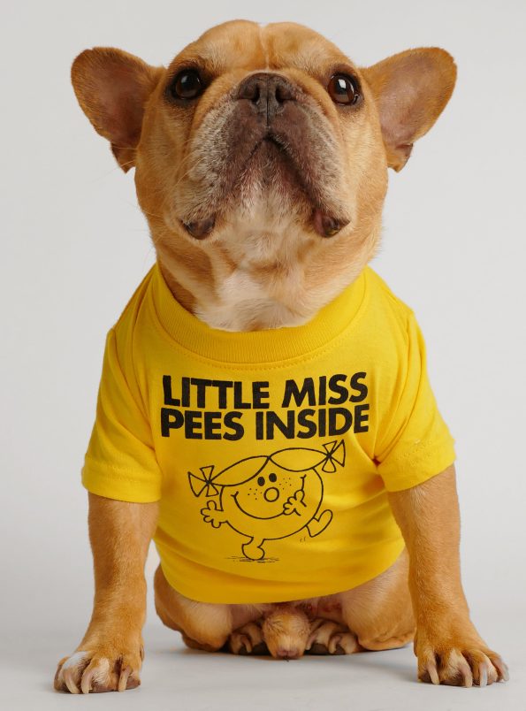 littlemisspeesinside