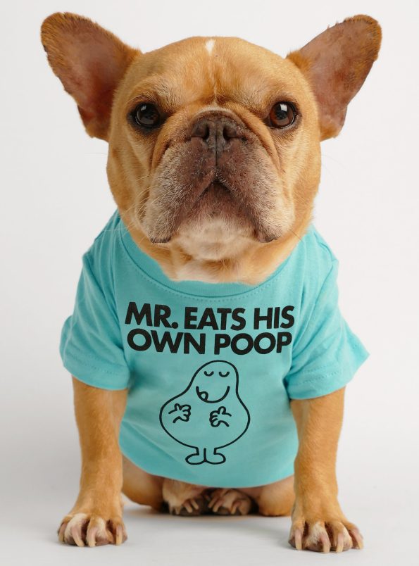 mreatspoop